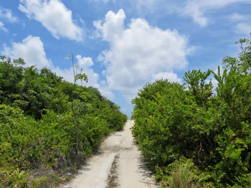 road6 (5)