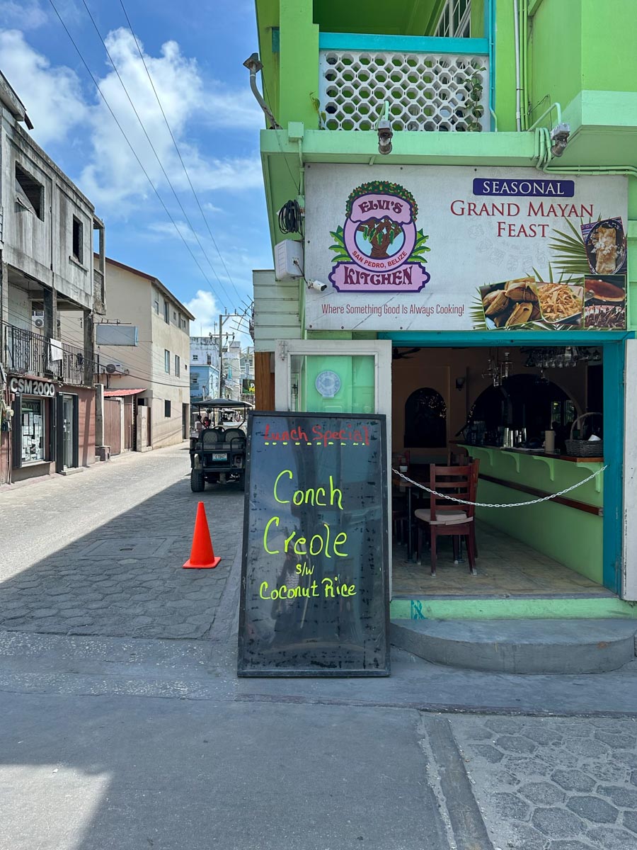 Conch at Elvi's Kitchen