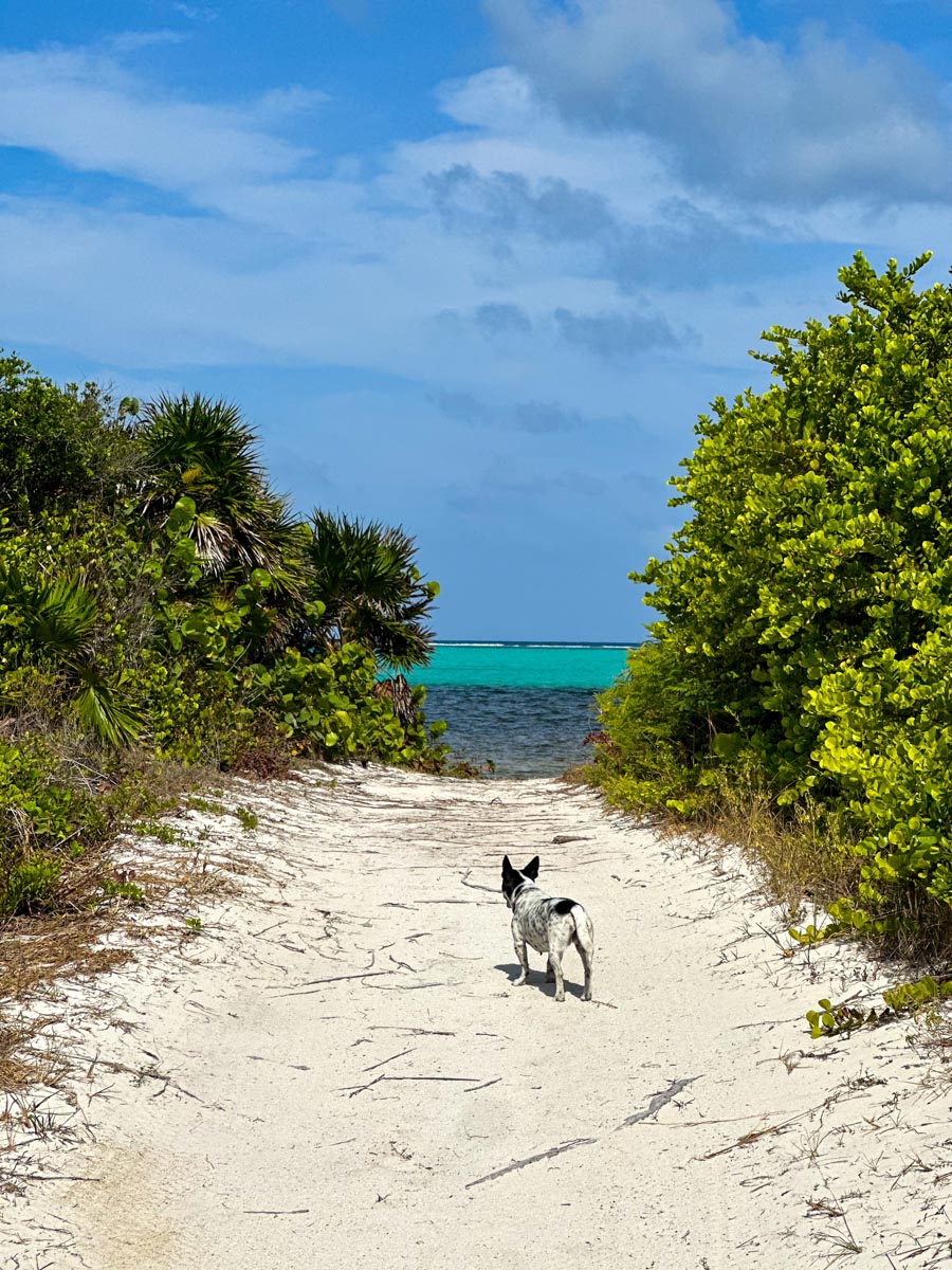 Frannie on the beach path