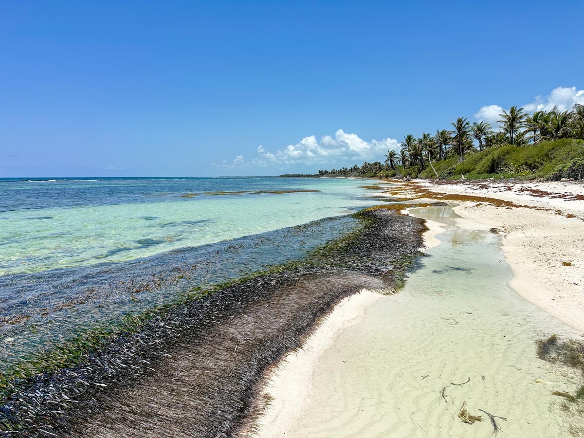 Robles Point Water and Beach