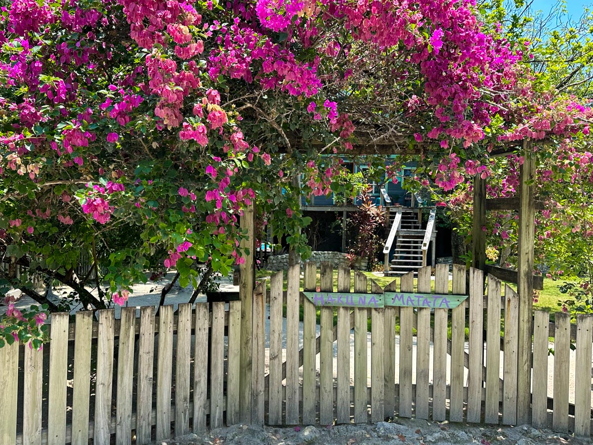 Gorgeous Hakuna Matata Fence
