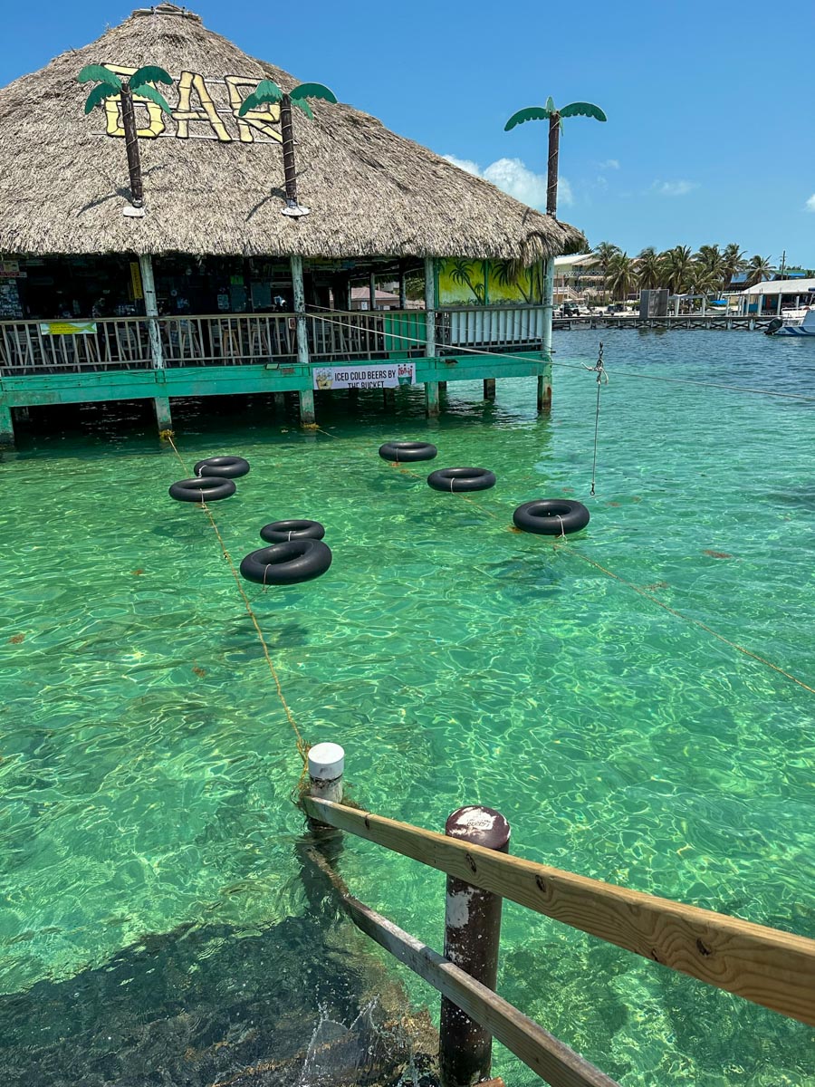 Palapa Bar inner tubes