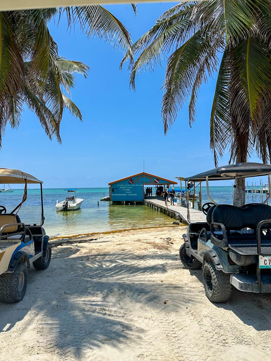 Chuck and Robbie's DIve SHop