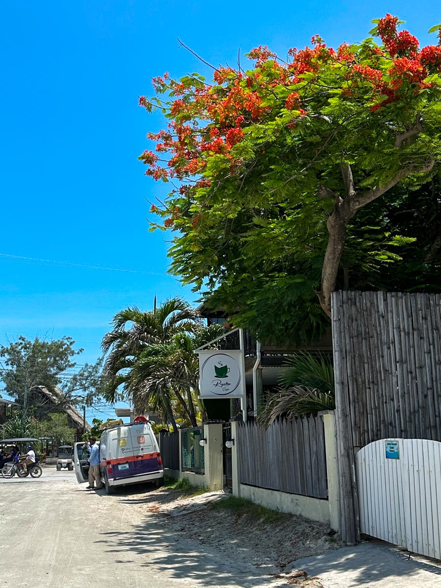 Flamboyant on the side street