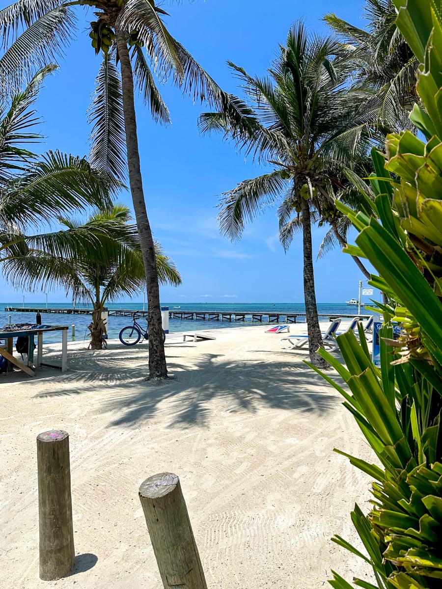 View of beach and ocean at Blue Tang