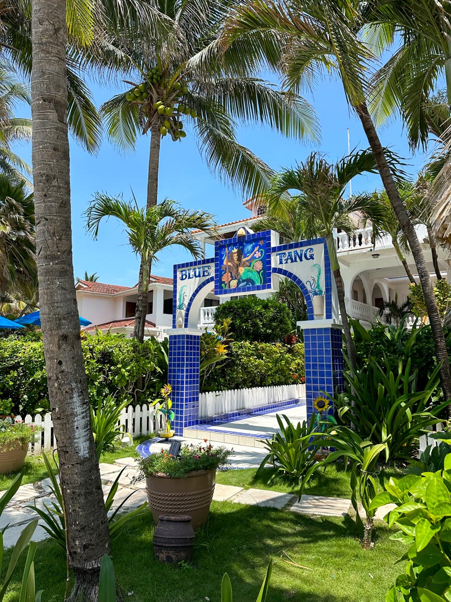 Entrance to the Blue Tang