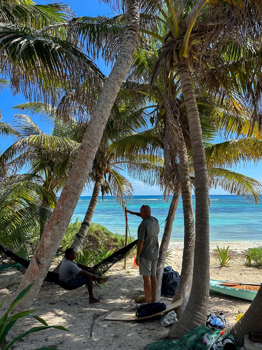 Laying in a hammock by the sea