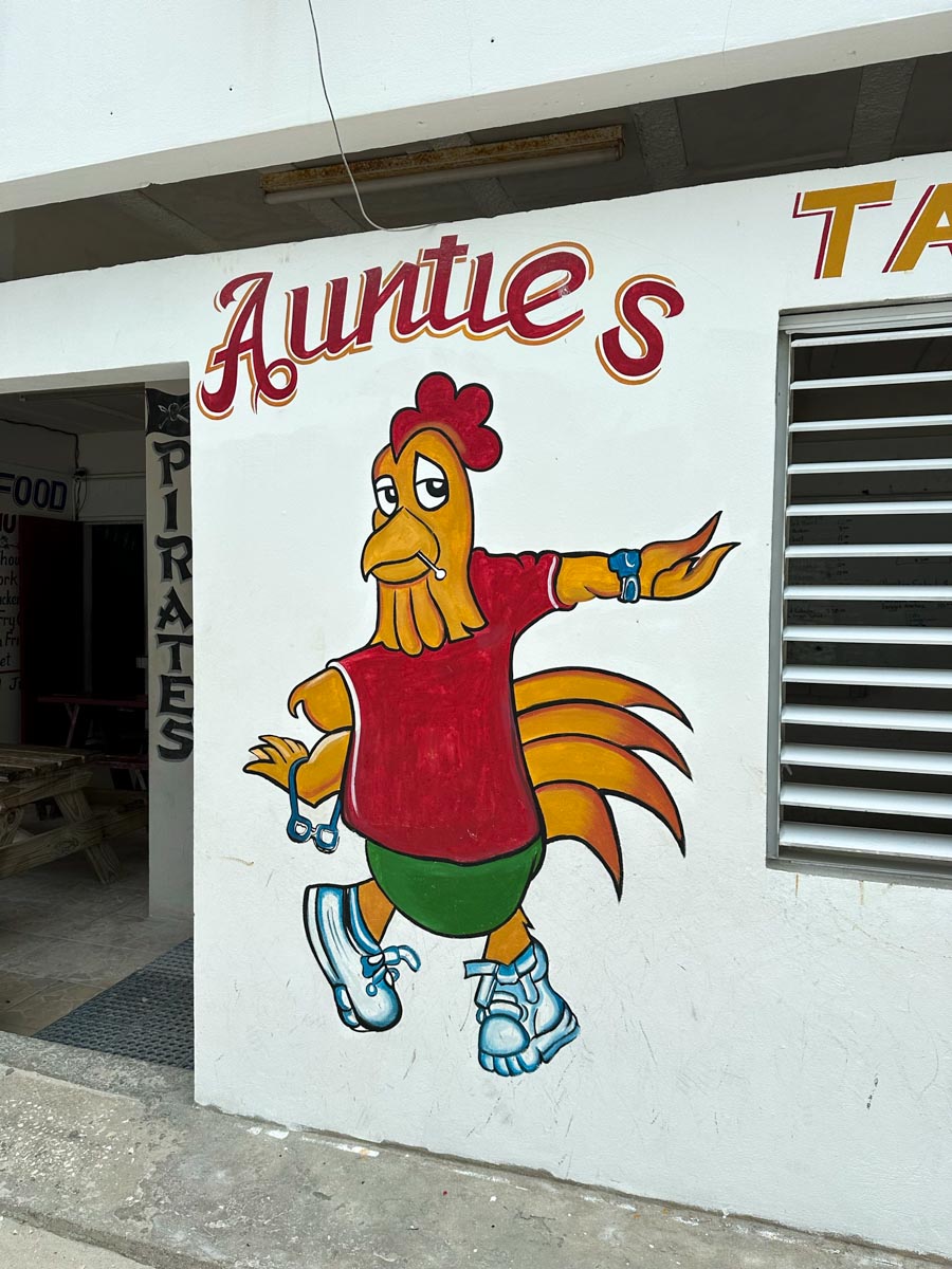 Auntie's Fried Chicken