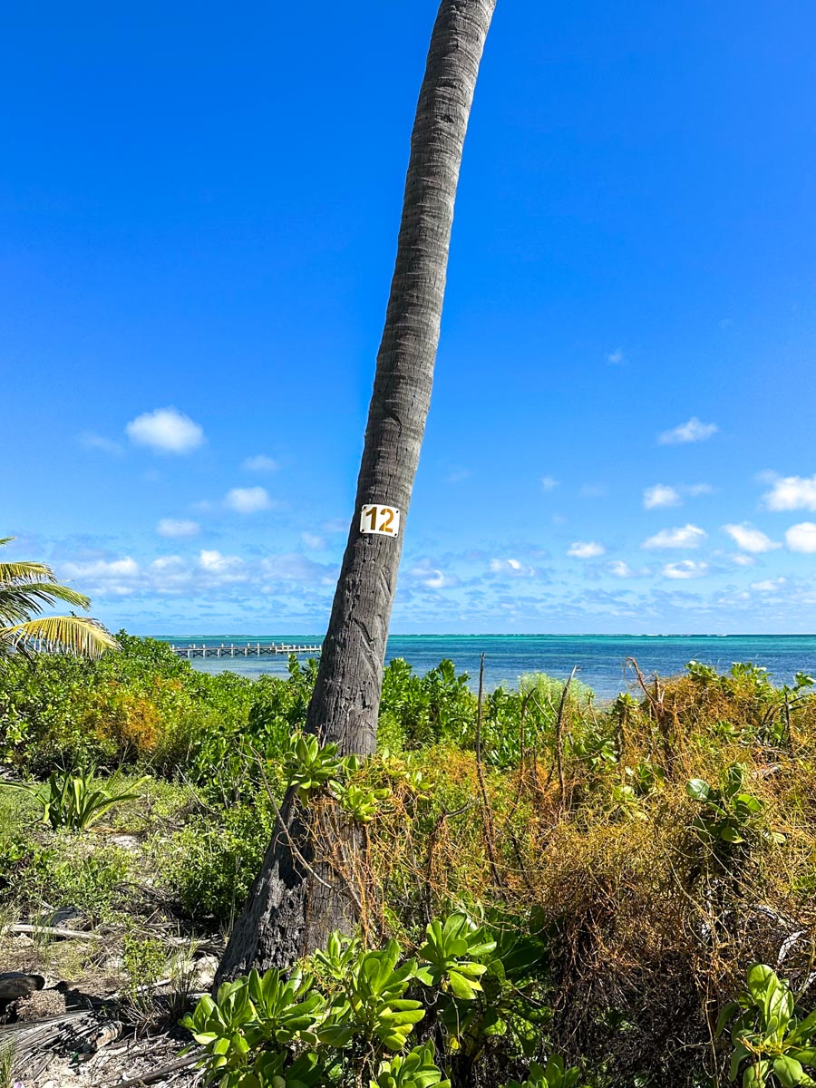 12 mile marker