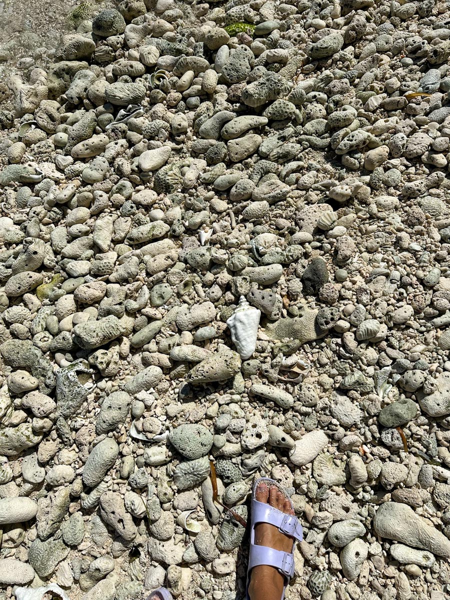 Robles Point