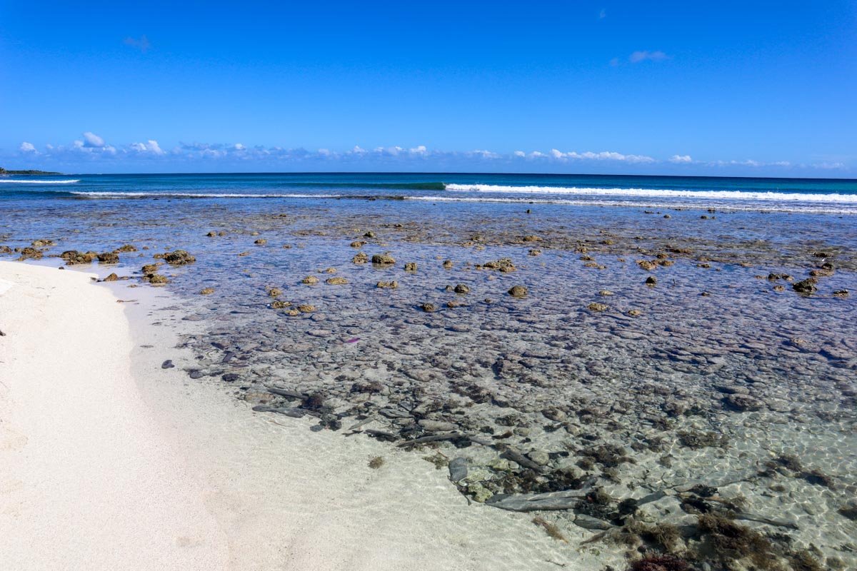 Robles Point where the reef meets the land
