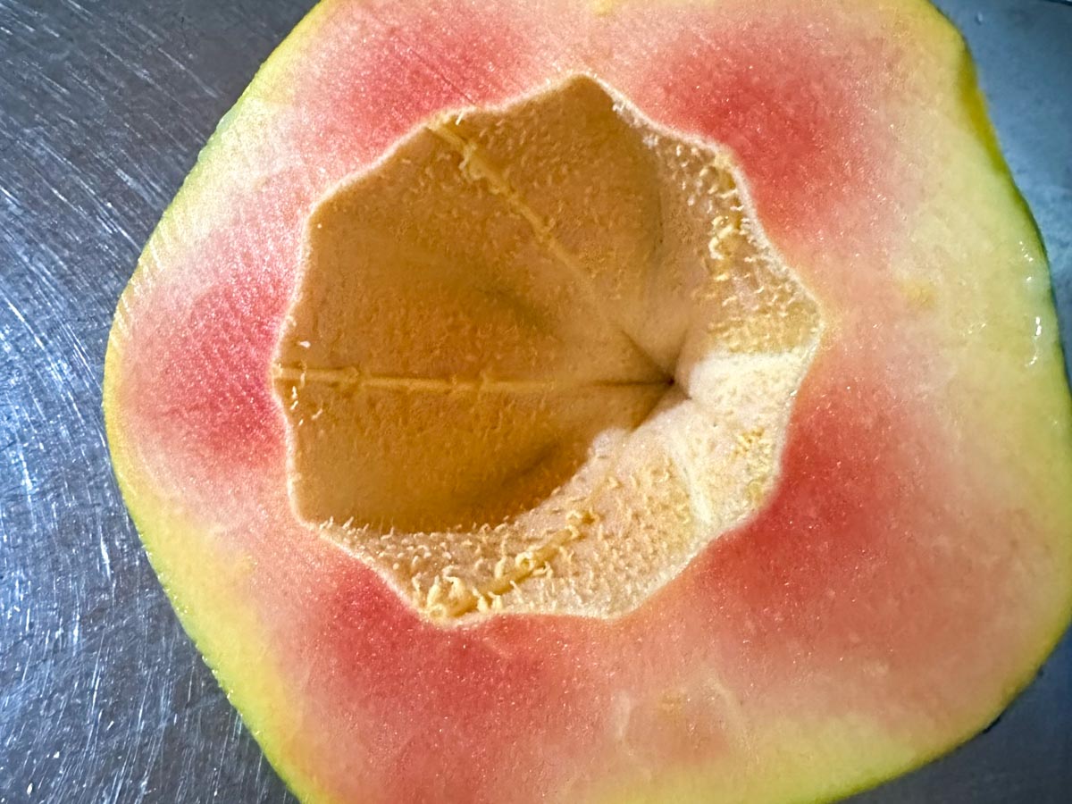 Unfertilized female papaya - no seeds