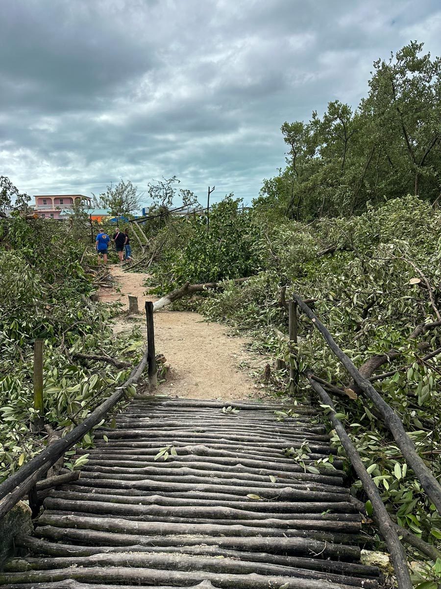 A look down the path now de-mangroved