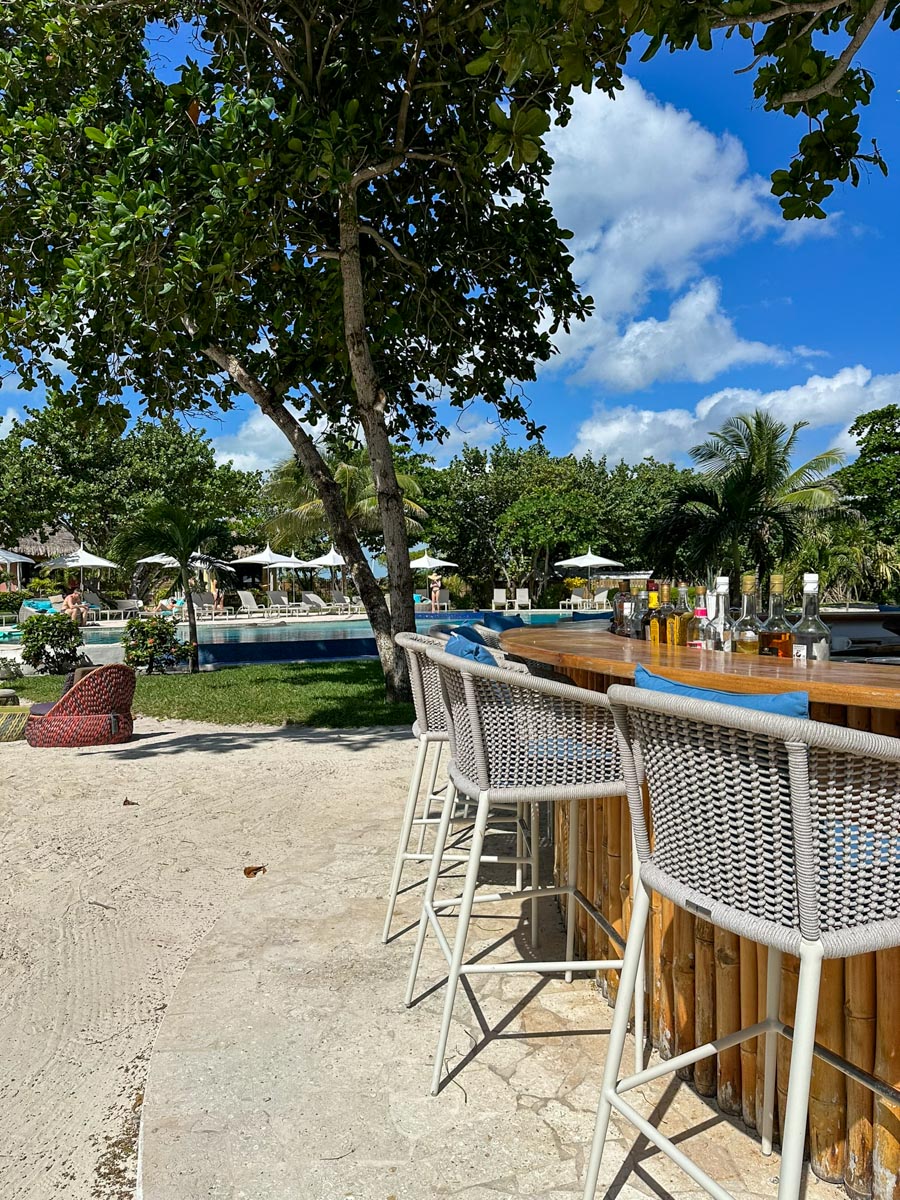 The view from Danny's Tree Top bar