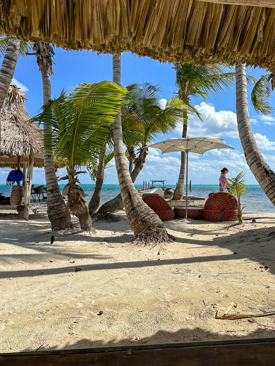 The view from Mambo