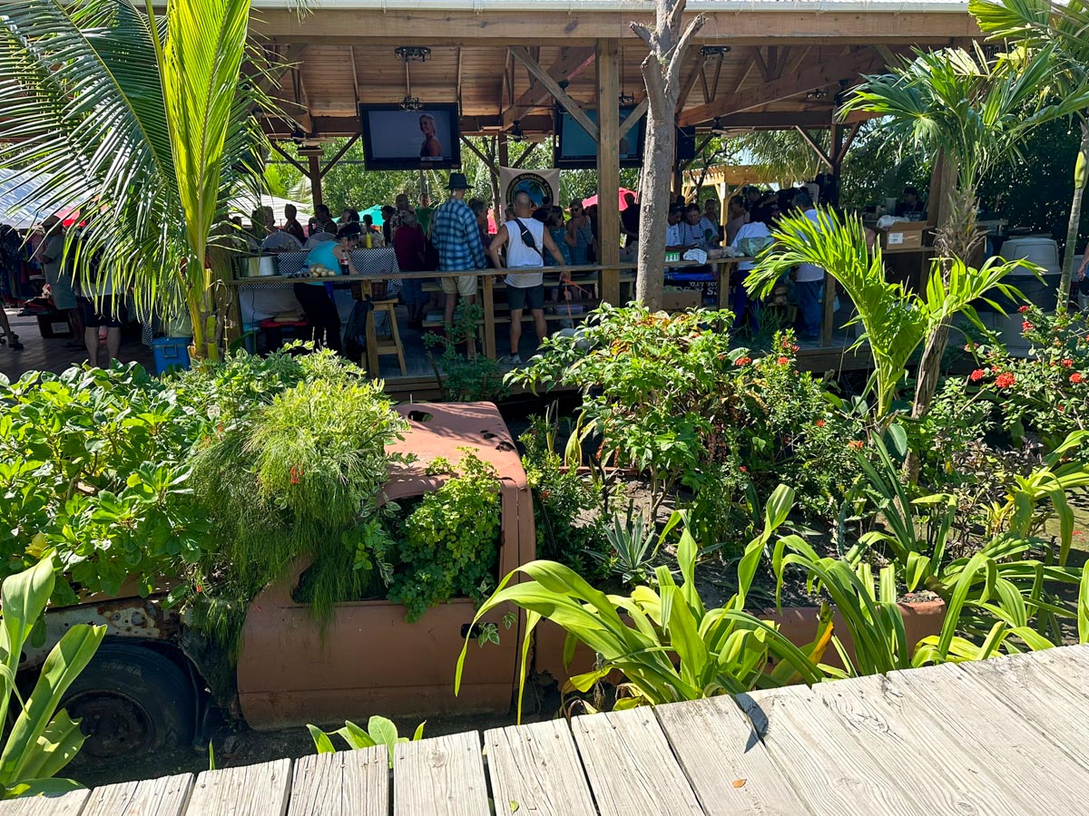 Pick up truck garden