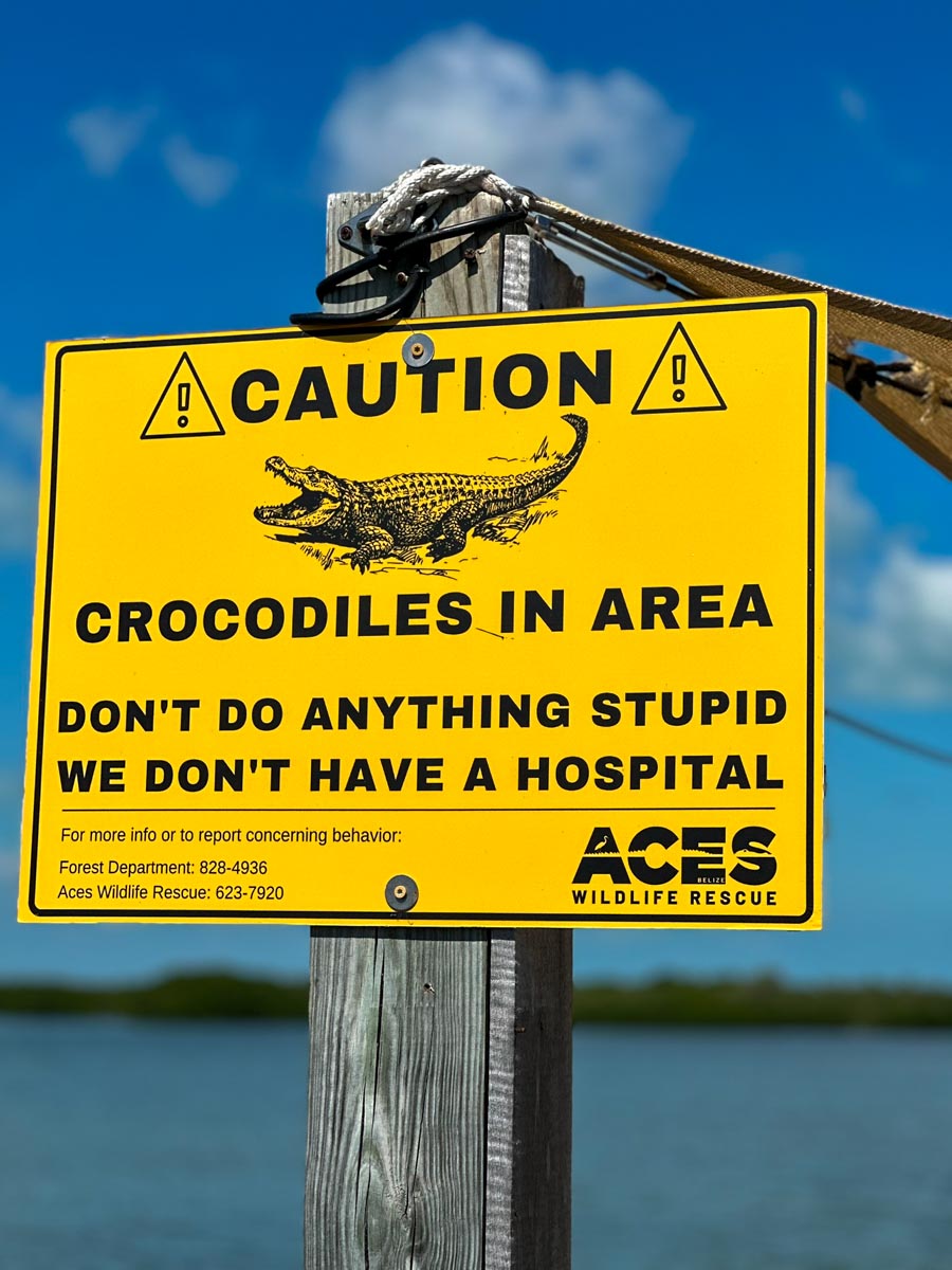 Crocodile sign at Truck Stop - Don't do anything stupid