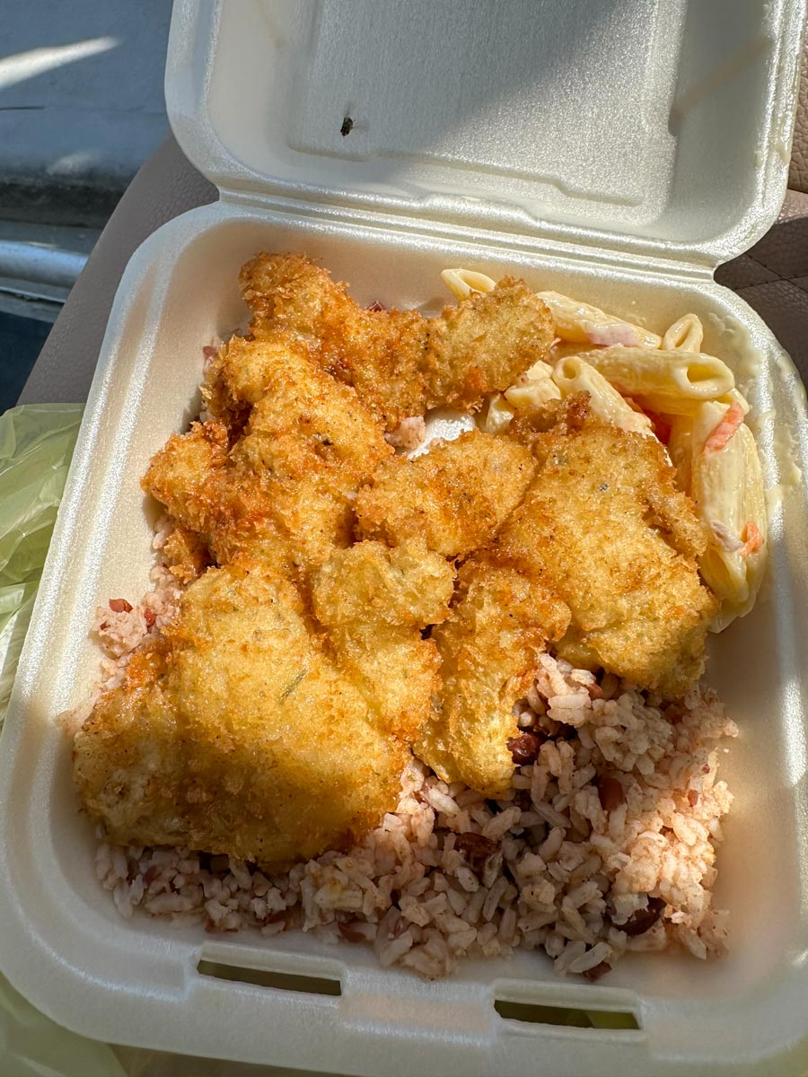 Aba Isieni Conch