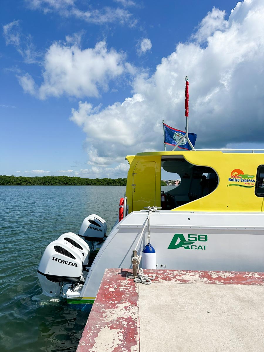 Motors on the new boat