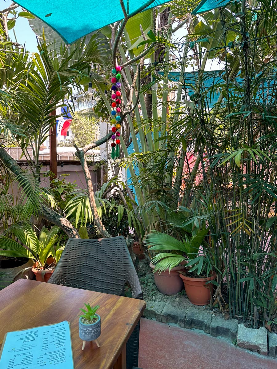 Pretty flowers in Secret Garden