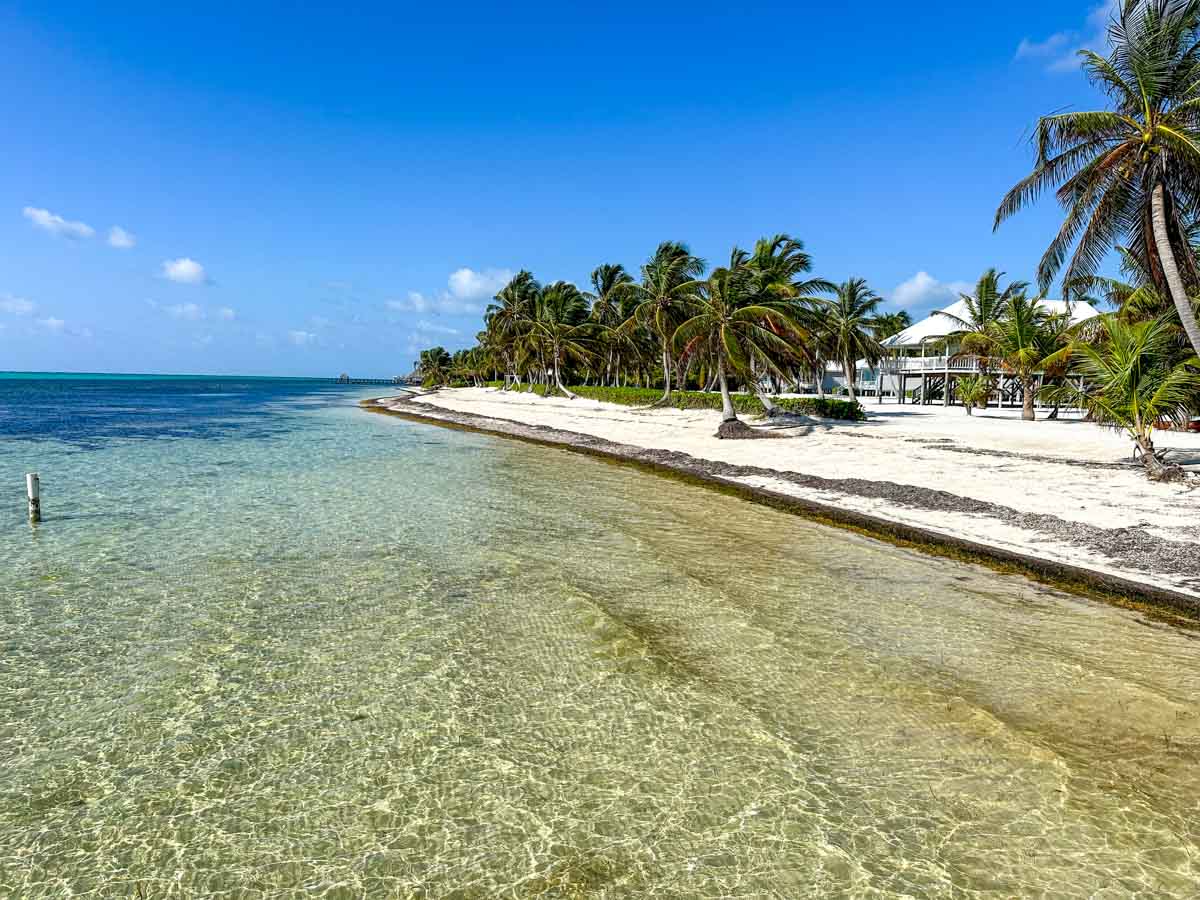 8 miles north at Tuto Belize