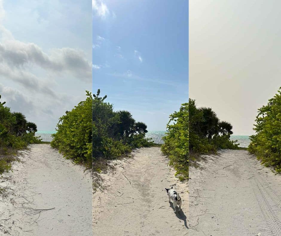 Sahara Dust Belize