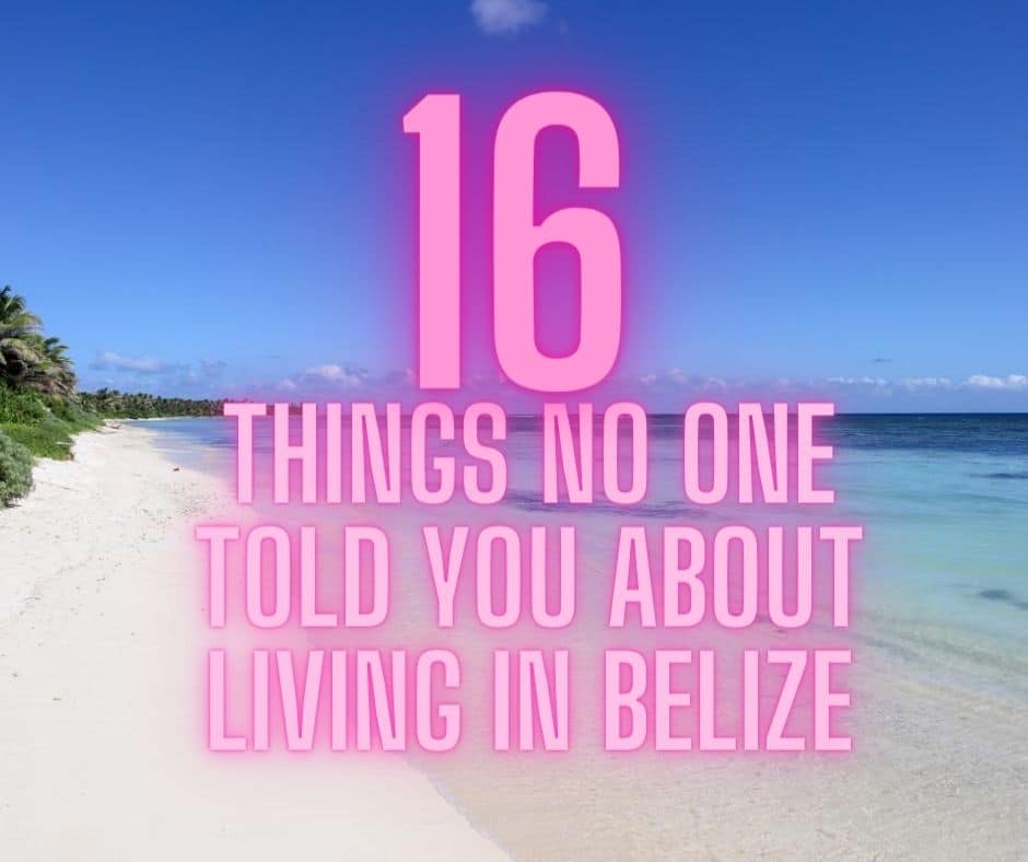 Title: 16 Thngs No One Told you