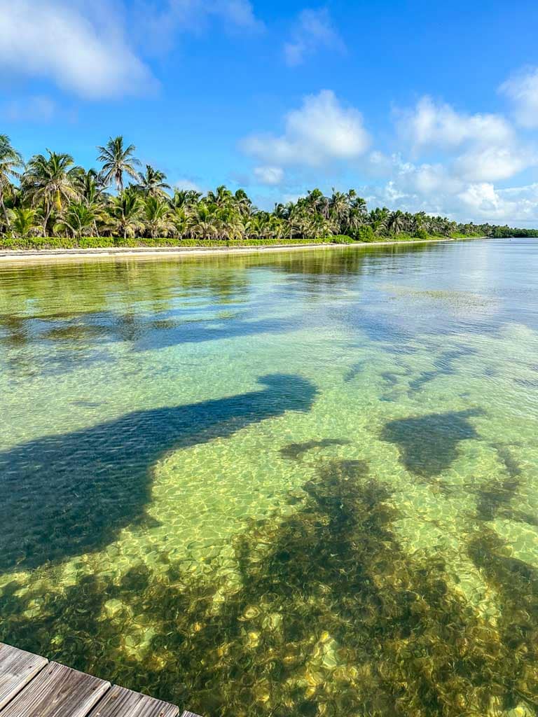 Spotting bonefish and permit