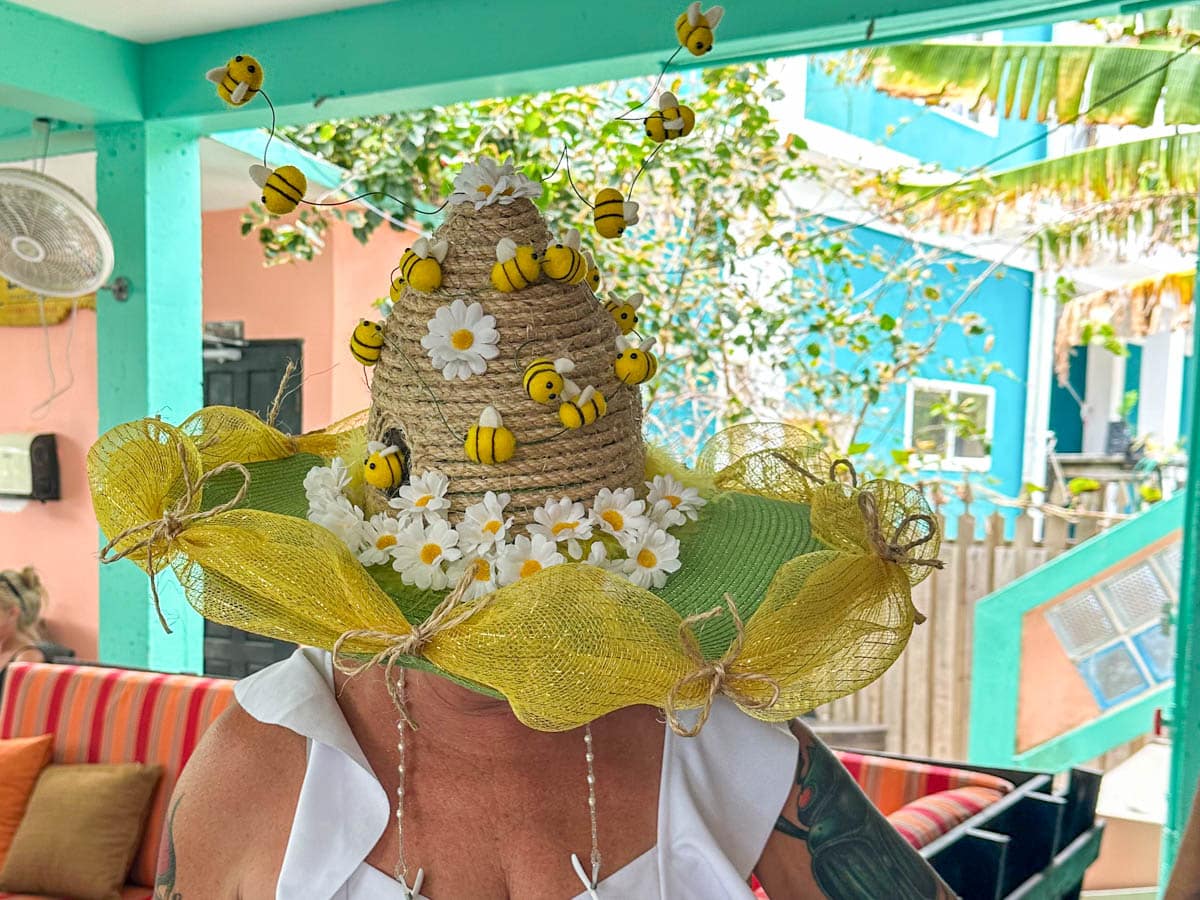 Bee hive hat